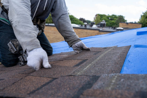 Best Chimney Flashing Repair  in Claypool, AZ